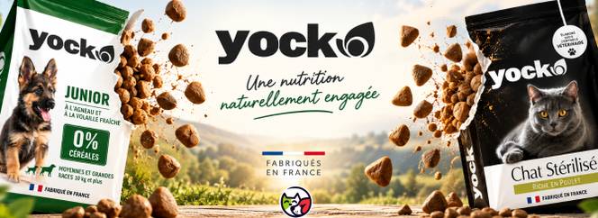 Promotion animalerie en ligne Auberpets