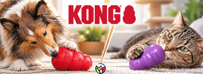 Promotion animalerie en ligne Auberpets