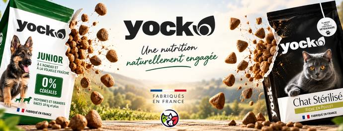 Promotion animalerie en ligne Auberpets