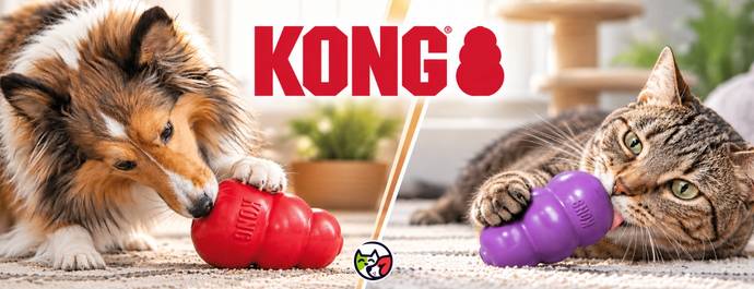 Promotion animalerie en ligne Auberpets