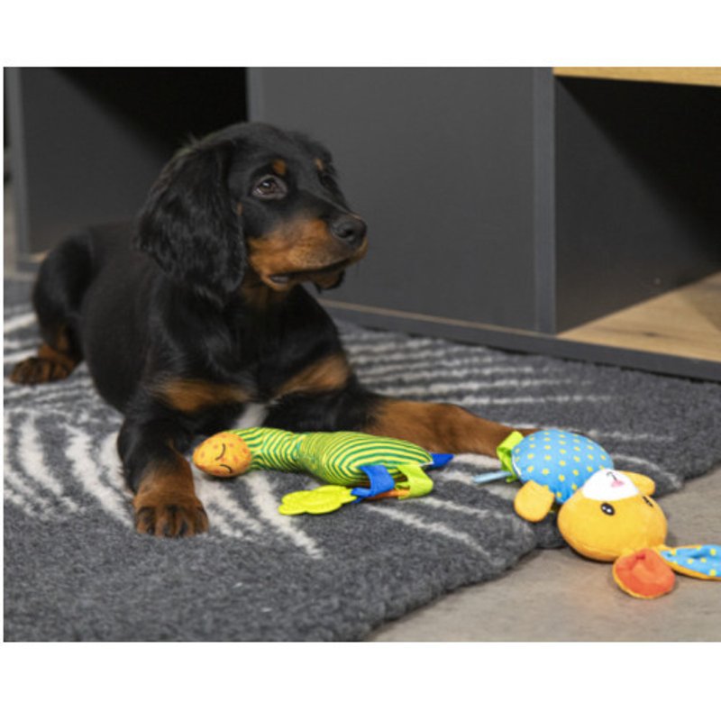 Tapis chauffant chien : coussin sans électricité, l’unique ! - photo 2