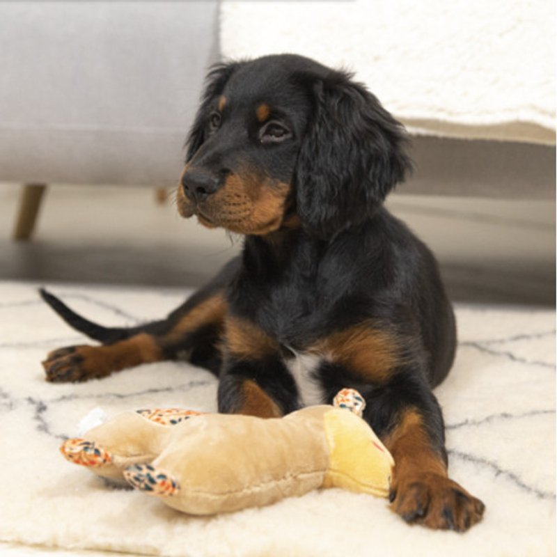 Tapis chauffant chien : coussin sans électricité, l’unique ! - photo 1