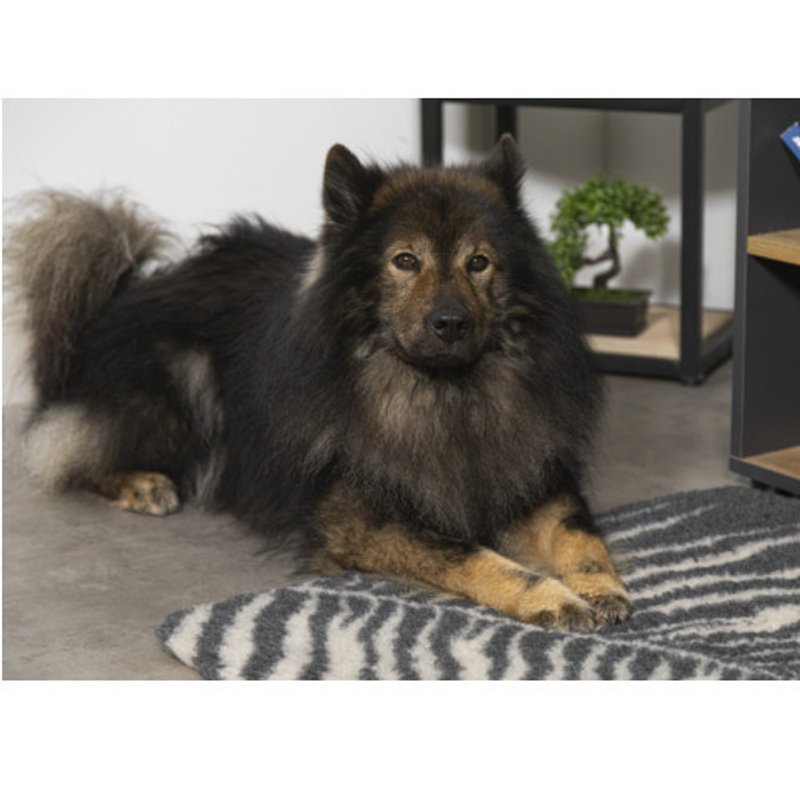 Tapis chauffant chien : coussin sans électricité, l’unique ! - photo 4