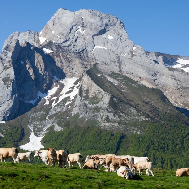 Montagne des Pyrénées - photo galerie 4