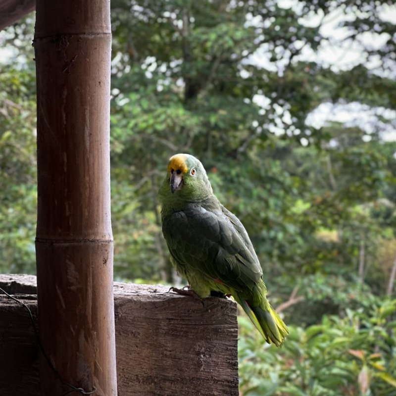 Amazone - photo galerie 4