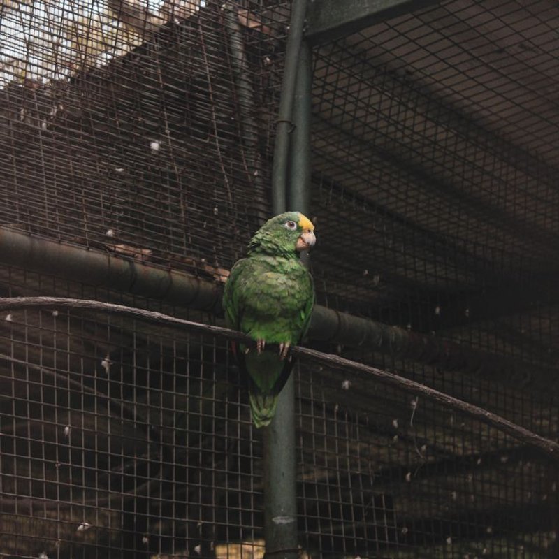 Amazone - photo galerie 2