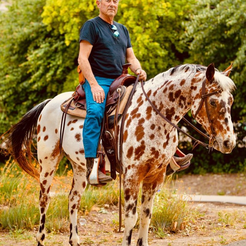 Appaloosa - photo galerie 4