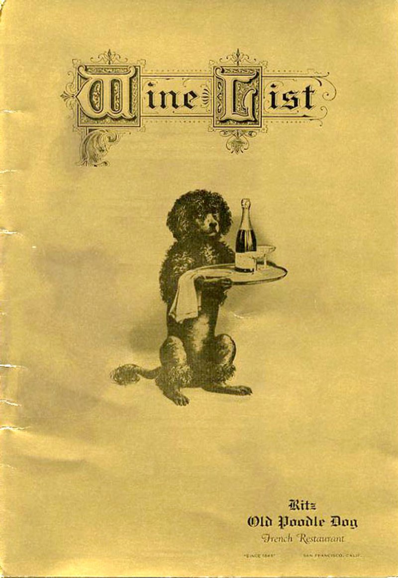 Caniche - photo galerie 2