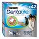 Poids de l’animal recommandé : 12-25 kg - x42 - Medium