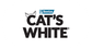 Cat’s White