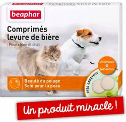 Comprimés de levure de bière pour chien et chat Beaphar