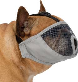 Muselière pour museau court pour chien