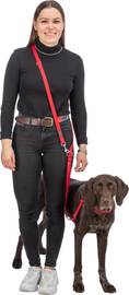 Collier rouge pour gros chien Premium