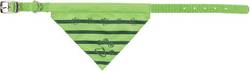 Collier bandana foulard Pomme pour chiot