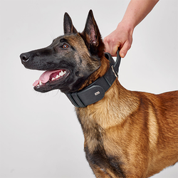 Collier d'entraînement avec poignée Larvik Hunter pour chien