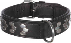 Collier Active Doublée pour Chien
