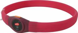 Collier Lumineux rechargeable et ajustable pour chiens à poils longs