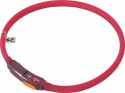 Collier lumineux rechargeable et ajustable pour chiens