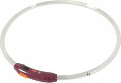 Collier lumineux pour chiens à poils courts rechargeable et ajustable