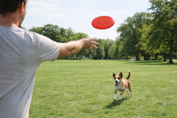 Frisbee pour chien Mon Ami Luki