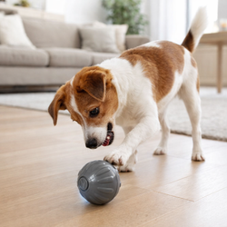 Jouet pour chien balle interactive lumineuse Mon Ami Luki