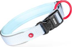 Collier chien nylon Premium Zolux Bleu ciel