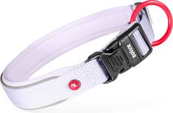 Collier chien nylon Premium Zolux Lilas