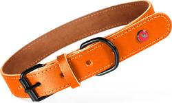 Collier chien Zolux Cuir classique fauve