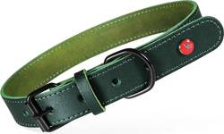 Collier chien Zolux Cuir classique vert