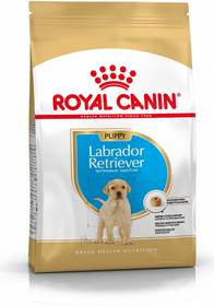 ROYAL CANIN Croquettes Labrador Retriever Puppy