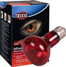 Lampe infrarouge chauffante pour reptile