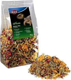 Mélange de fleurs pour reptile