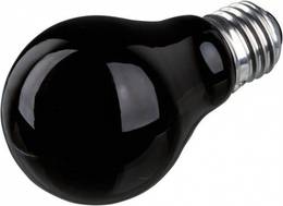 Lampe clair de lune à chaleur pour reptile