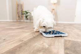 Tapis de léchage pour chien Lick'n'snack