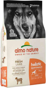 Croquettes chien Holistic Large Adult Agneau