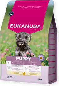 Eukanuba croquettes puppy petit chien au poulet frais