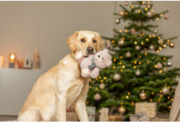 Peluche de Noël ours pour chien