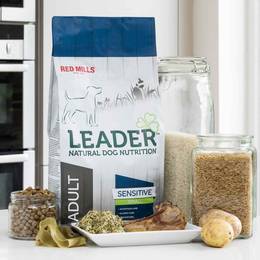 RED MILLS Croquettes chien Leader Sensitive Agneau Small Breed Adulte