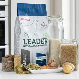 RED MILLS Croquettes Leader Sensitive Agneau Adulte Grande Race 12 kg pour Chien