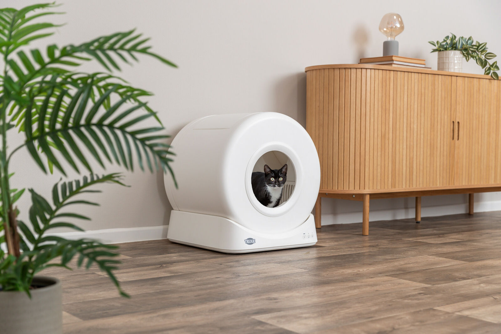 Chat dans le bac à litière auto-nettoyant TRIXIE blanc installé dans un salon