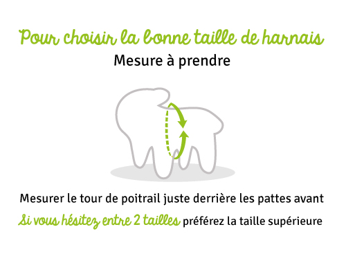 Guide des tailles Harnais chien Style UPKA gris