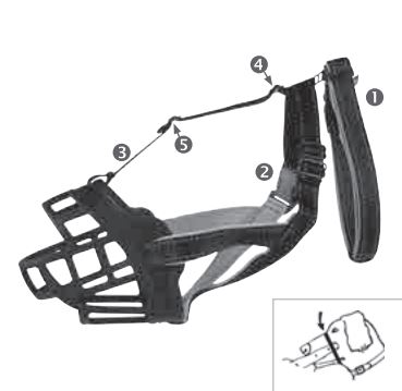 Mode d'emploi Muselière Muzzle Flex