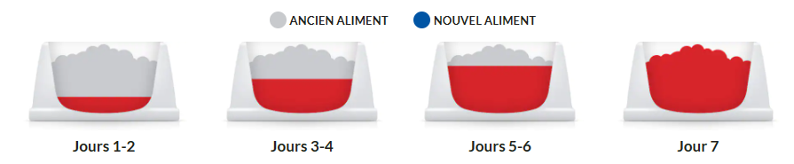 Mode d'emploi Hill's Science Plan croquettes au poulet pour chat